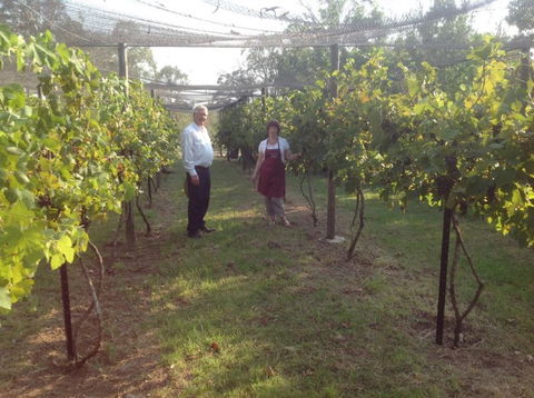 Holland Wines - Kalgoorlie Accommodation 8