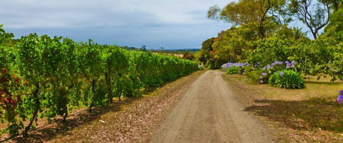 Merricks Estate - Kalgoorlie Accommodation 1