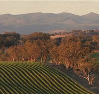 Angullong Wines - Kalgoorlie Accommodation