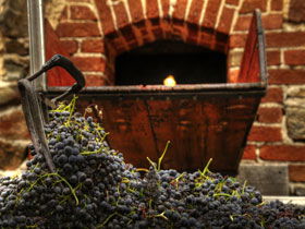 Rockford Wines - Kalgoorlie Accommodation 2