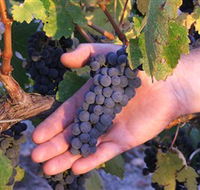 Eagles Rise Wine - Kalgoorlie Accommodation