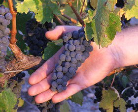 Eagles Rise Wine - Kalgoorlie Accommodation 0
