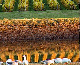 Pipers Brook TAS Kalgoorlie Accommodation