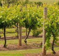 Mt Coghill Vineyard - Kalgoorlie Accommodation