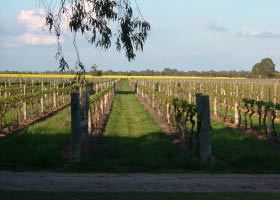 Bridgewater On Loddon VIC Kalgoorlie Accommodation