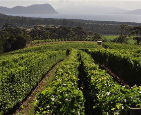 Bream Creek Vineyard - Kalgoorlie Accommodation 0