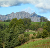 Lake Barrington Vineyard - Kalgoorlie Accommodation