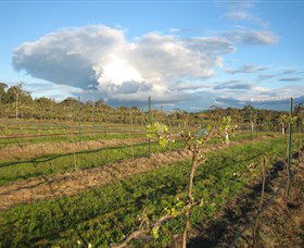 Flyfaire Wines - Kalgoorlie Accommodation 7