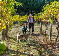 Little River Wines of Taggerty - Kalgoorlie Accommodation