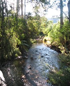 Little River Wines Of Taggerty - Kalgoorlie Accommodation 5