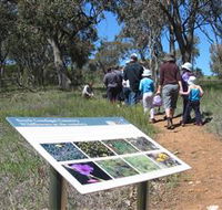 South Gundagai Woodlands Walk - Kalgoorlie Accommodation