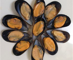 Advance Mussel Supply - Kalgoorlie Accommodation 3