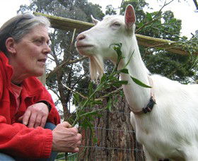 Karmic Goat Soapworks - Kalgoorlie Accommodation 2