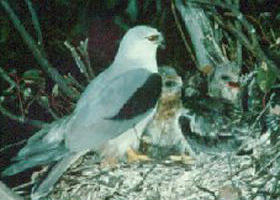 Bushy Park Wetlands - Kalgoorlie Accommodation 0