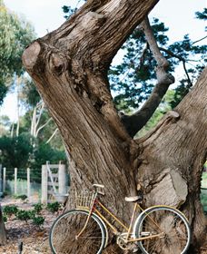 Kiltynane Wines - Kalgoorlie Accommodation 8