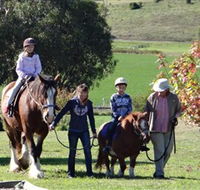Bathurst Farm Experience - Kalgoorlie Accommodation