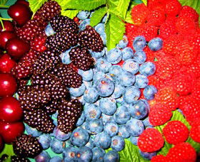 Blue Hills Berries & Cherries - Kalgoorlie Accommodation 2