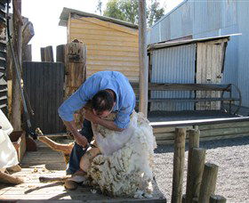 Boggy Creek Shows - Kalgoorlie Accommodation 4