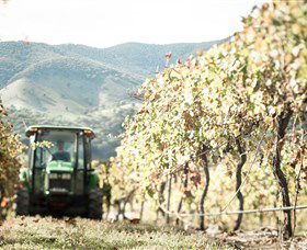 Logan Wines - Kalgoorlie Accommodation 5