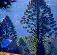Bunya Mountains National Park - Kalgoorlie Accommodation