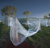 Toppers Mountain Wines - Kalgoorlie Accommodation