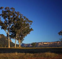 Capertee Valley Bird Trail - Kalgoorlie Accommodation