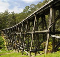Noojee Trestle Bridge - Kalgoorlie Accommodation