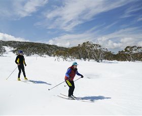 Mt Baw Baw Alpine Resort - Kalgoorlie Accommodation 2