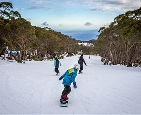 Mt Baw Baw Alpine Resort - Kalgoorlie Accommodation 0