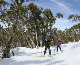 Mt Baw Baw Alpine Resort - Kalgoorlie Accommodation 4