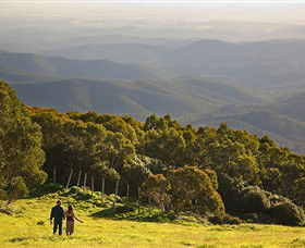 Mt Baw Baw Alpine Resort - Kalgoorlie Accommodation 6