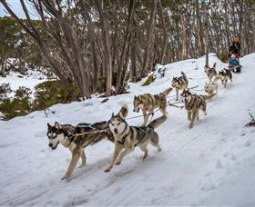 Mt Baw Baw Alpine Resort - Kalgoorlie Accommodation 5