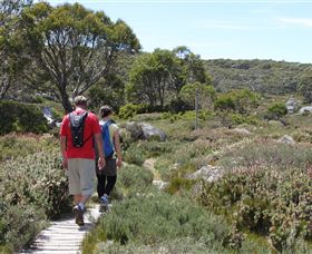 Mt Baw Baw Alpine Resort - Kalgoorlie Accommodation 7