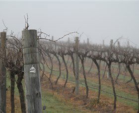 Small Forest Wine - Kalgoorlie Accommodation 1