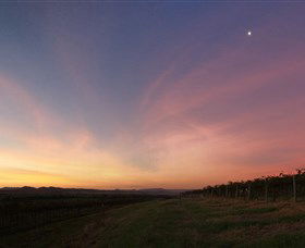 Small Forest Wine - Kalgoorlie Accommodation 2