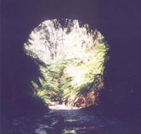 Glow Worm Tunnel - Kalgoorlie Accommodation