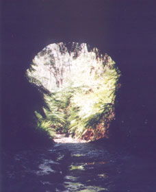 Glow Worm Tunnel - Kalgoorlie Accommodation 0