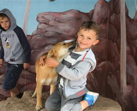 Maru Koala And Animal Park - Kalgoorlie Accommodation 3