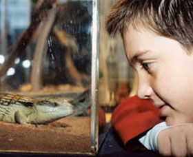 Canberra Reptile Zoo - Kalgoorlie Accommodation 0