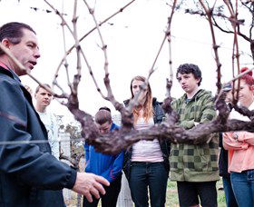 Varias Restaurant And Conference Centre Incorporating Banca Ridge Winery Cellar Door - Kalgoorlie Accommodation 3