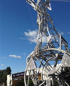 Australian Institute Of Sport (AIS) - Kalgoorlie Accommodation 0