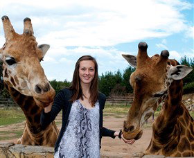 National Zoo & Aquarium - Kalgoorlie Accommodation 2