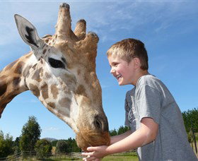 National Zoo & Aquarium - Kalgoorlie Accommodation 3
