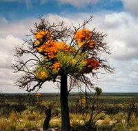 The Delmar Gallery - Kalgoorlie Accommodation