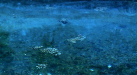 Anna Schwartz Gallery Sydney - Kalgoorlie Accommodation 2