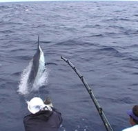 Amokura Charters - Kalgoorlie Accommodation
