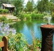 Gone Walkabout Safaris - Kalgoorlie Accommodation