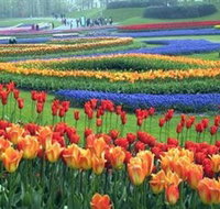 Botanica World Discoveries - Kalgoorlie Accommodation