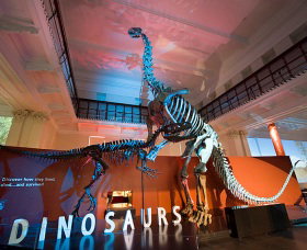 Australian Museum - Kalgoorlie Accommodation 0