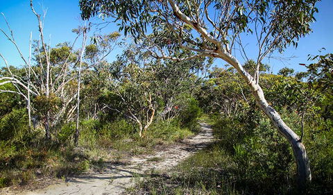 Aboriginal Heritage Walk - Kalgoorlie Accommodation 2